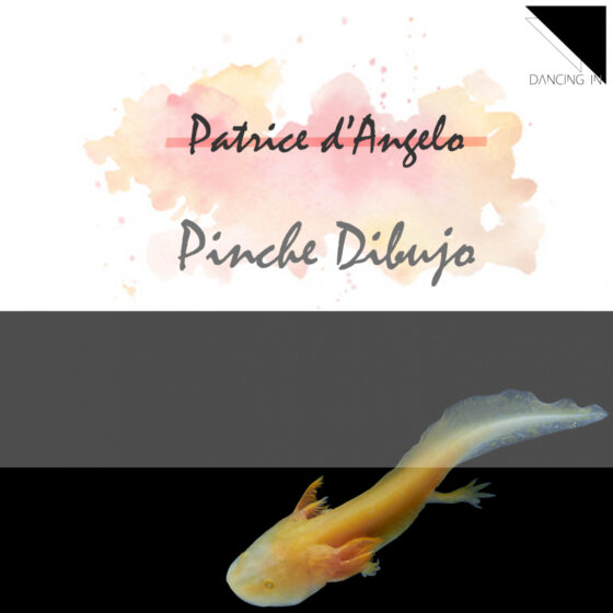 Patrice D'Angelo - Pinche Dibujo