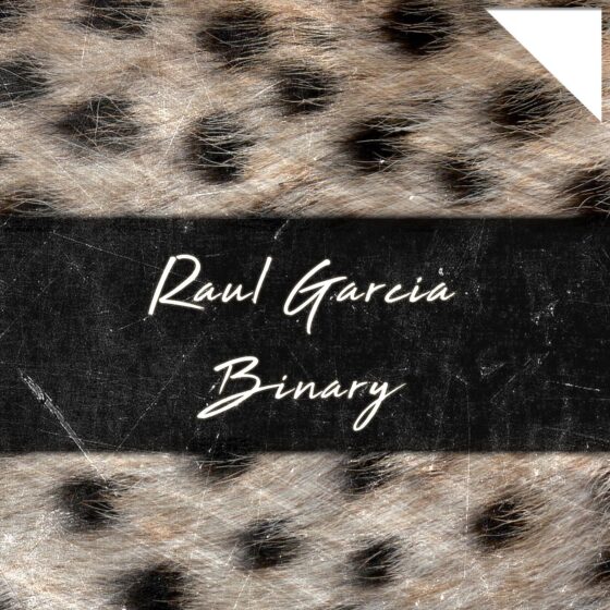 Raul Garcia - Binary